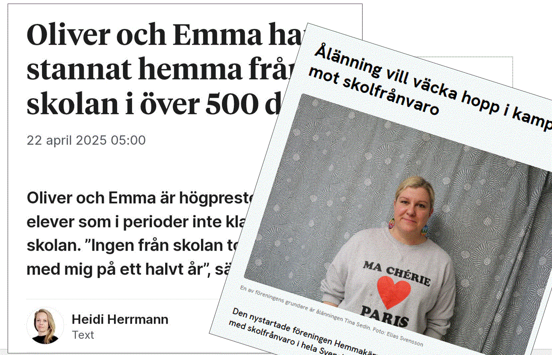 Klipp ur medier som skrivit om Hemmakämparna
