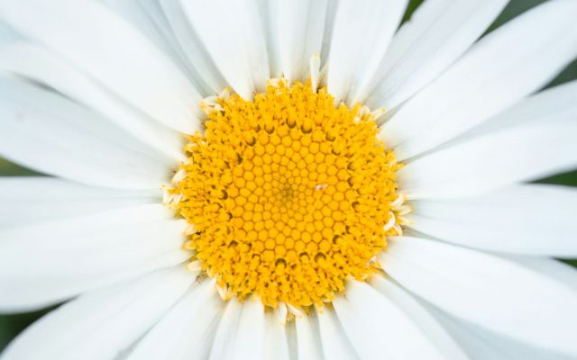 Föräldraträff 23.4